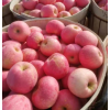 烟台红富士苹果价格 会升新鲜应季水果 脆甜多汁当季栖霞苹果价格