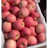 红富士苹果 条纹红富士苹果纸套膜 果大甜度高 会升水果